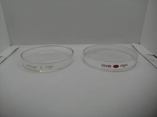 Caja petri completa de vidrio de borosilicato de 100x15 mm KIMAX 